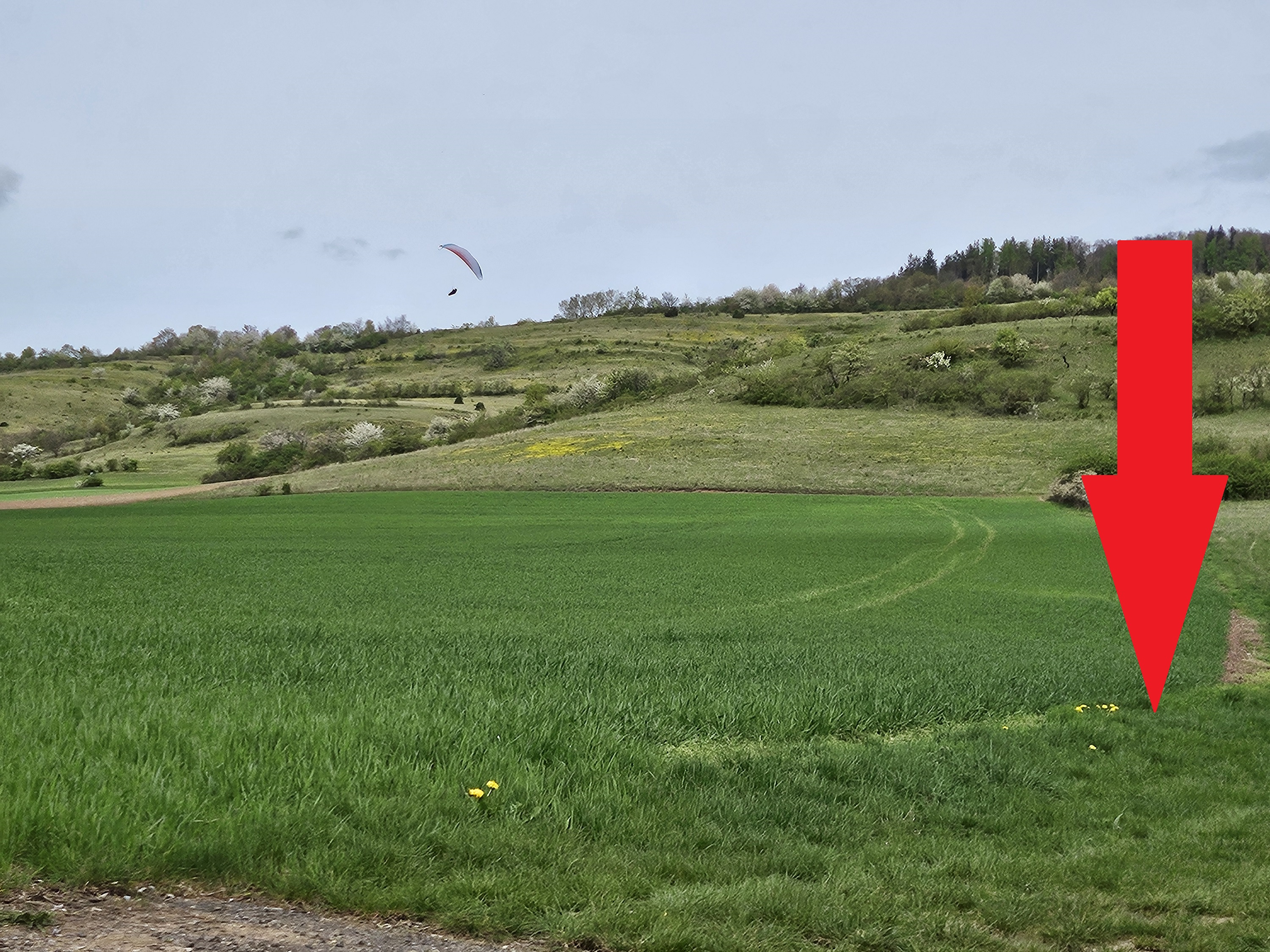 Landewiese (rechts unten) Verbindungsstraße